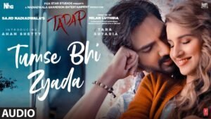 Tumse Bhi Zyada (Lyrical) -Tadap_Latestindianmovies.com